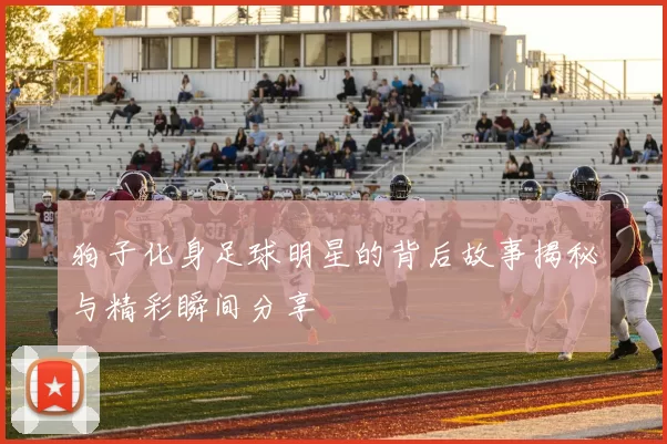 狗子化身足球明星的背后故事揭秘与精彩瞬间分享