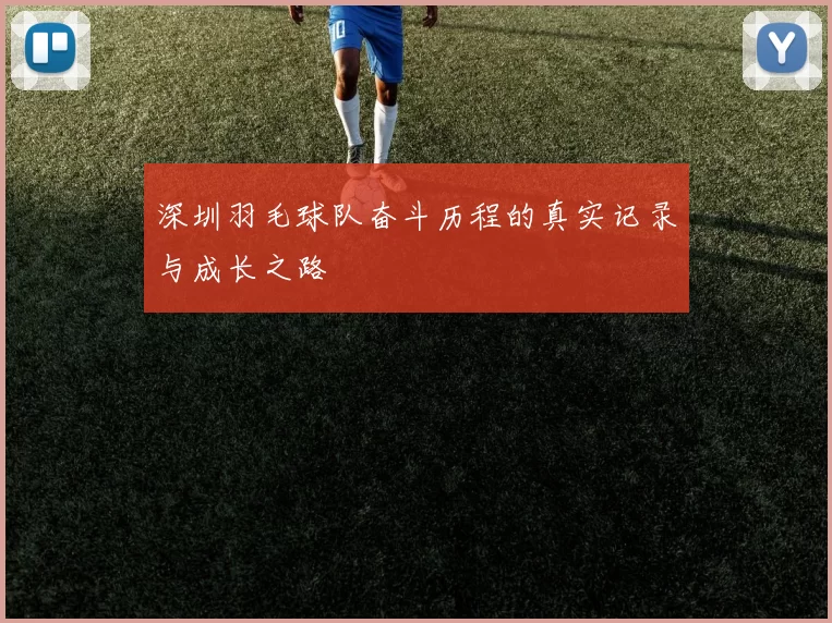 深圳羽毛球队奋斗历程的真实记录与成长之路