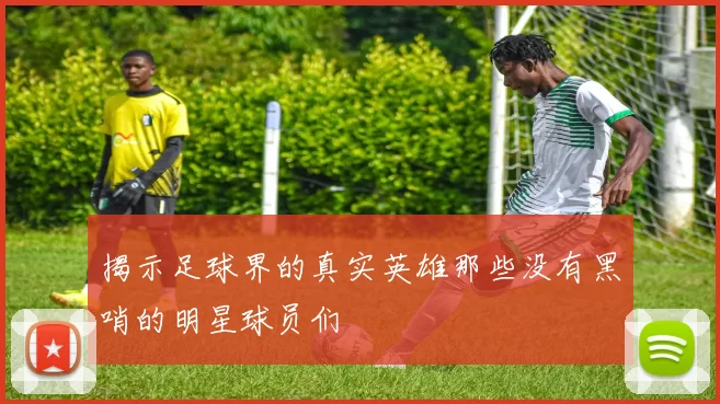 揭示足球界的真实英雄那些没有黑哨的明星球员们