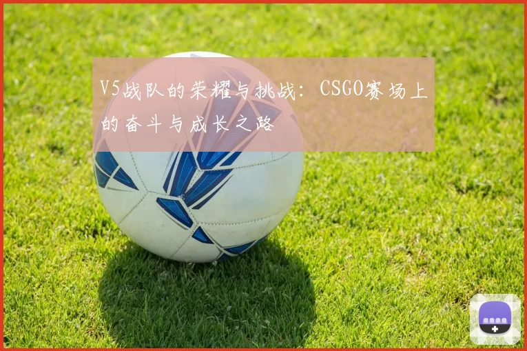 V5战队的荣耀与挑战：CSGO赛场上的奋斗与成长之路