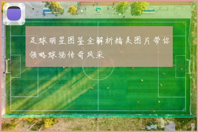 足球明星图鉴全解析精美图片带你领略球场传奇风采