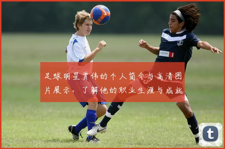 足球明星贾伟的个人简介与高清图片展示，了解他的职业生涯与成就
