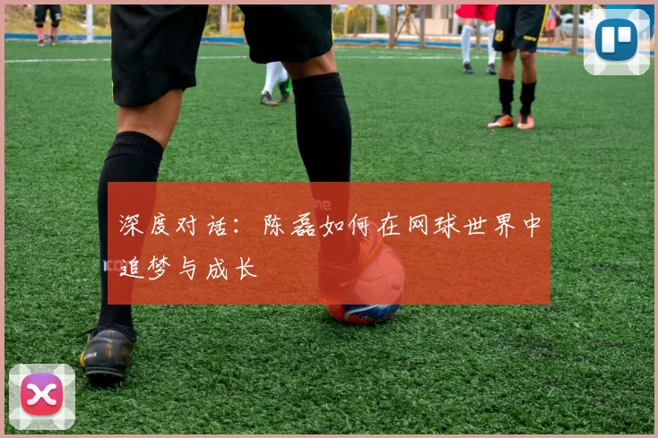 深度对话：陈磊如何在网球世界中追梦与成长