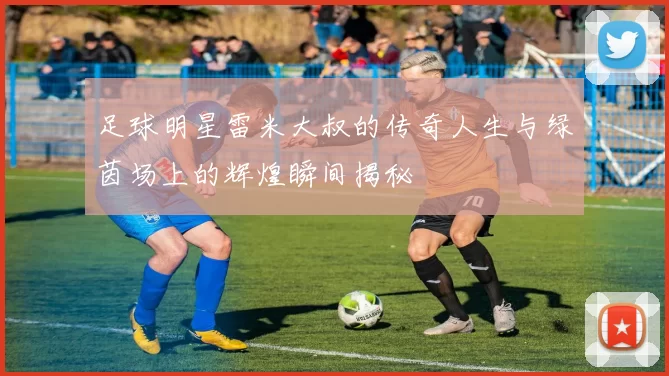 足球明星雷米大叔的传奇人生与绿茵场上的辉煌瞬间揭秘