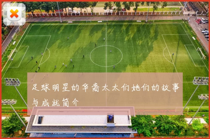 足球明星的华裔太太们她们的故事与成就简介
