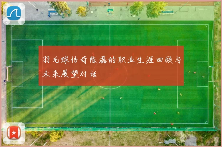 羽毛球传奇陈磊的职业生涯回顾与未来展望对话