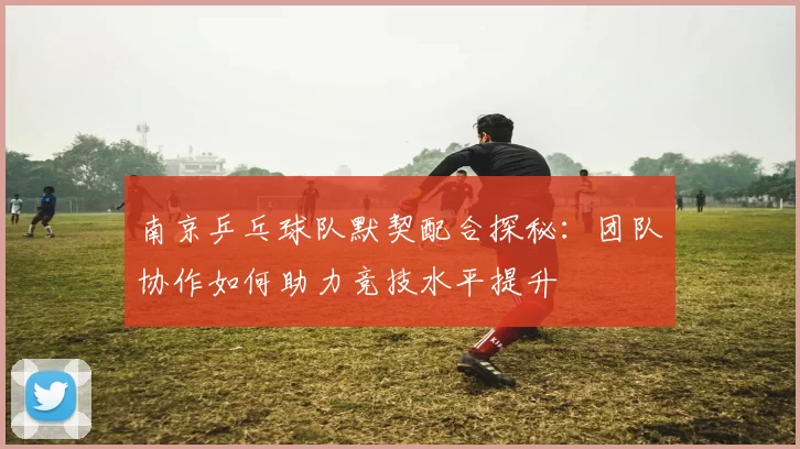 南京乒乓球队默契配合探秘：团队协作如何助力竞技水平提升
