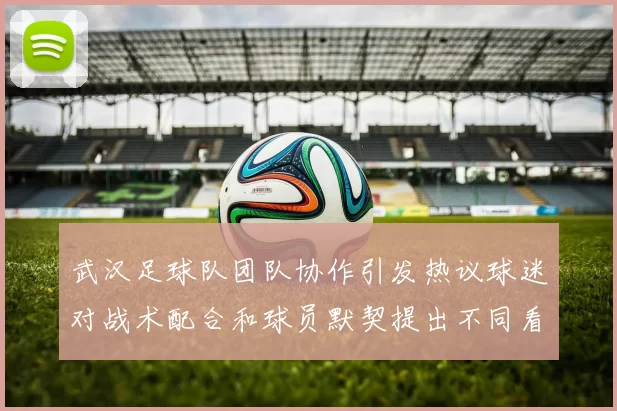 武汉足球队团队协作引发热议球迷对战术配合和球员默契提出不同看法