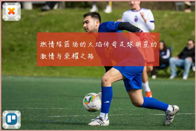 燃情绿茵场的火焰传奇足球明星的激情与荣耀之路