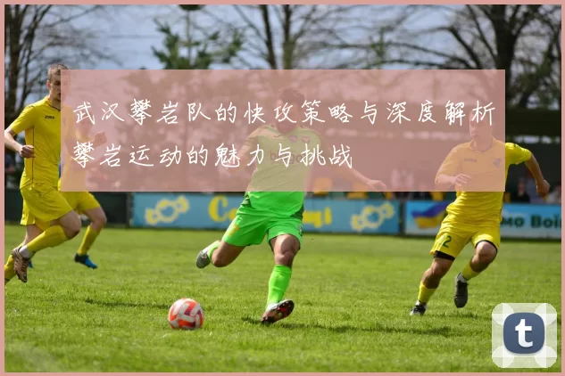 武汉攀岩队的快攻策略与深度解析攀岩运动的魅力与挑战