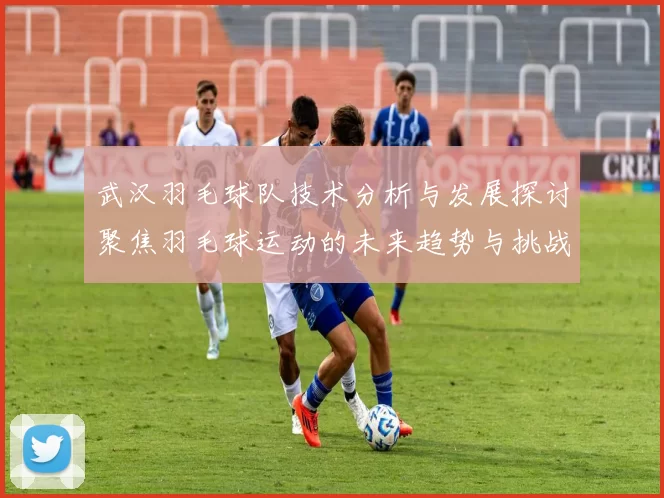 武汉羽毛球队技术分析与发展探讨聚焦羽毛球运动的未来趋势与挑战