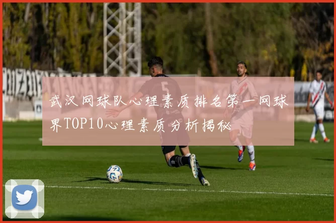 武汉网球队心理素质排名第一网球界TOP10心理素质分析揭秘