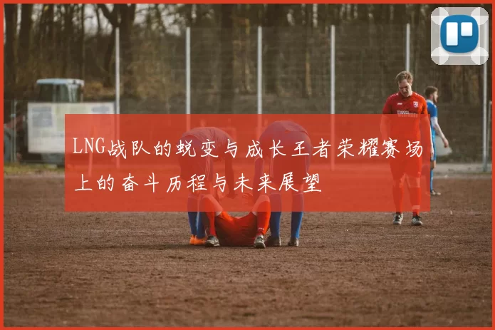 LNG战队的蜕变与成长王者荣耀赛场上的奋斗历程与未来展望