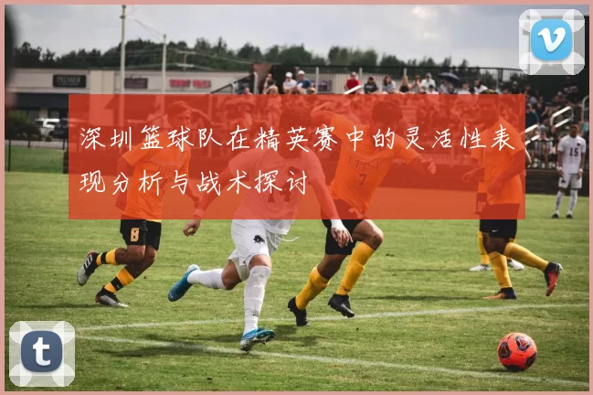 深圳篮球队在精英赛中的灵活性表现分析与战术探讨