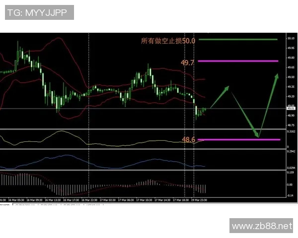 2019年1月24日火箭队精彩比赛直播回顾与分析