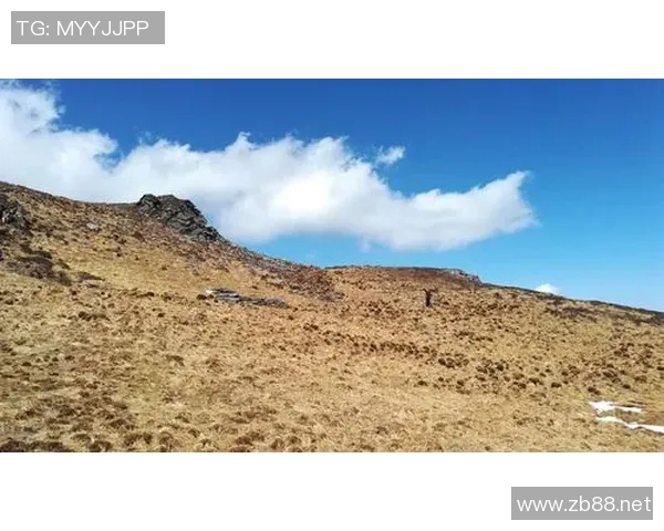 攀岩人生的深度对话：赵芳如何在高峰与挑战中找到自我