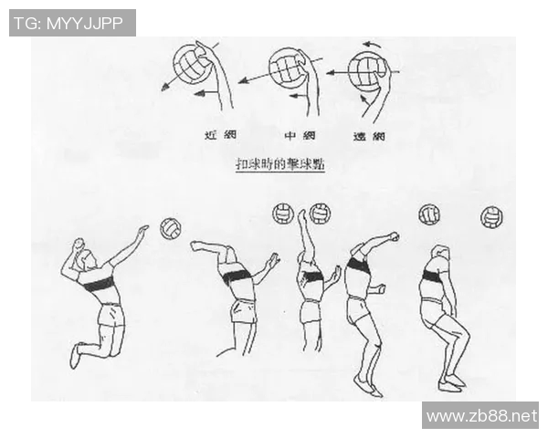 武汉排球队技术揭秘：排球巨献背后的训练与战术分析