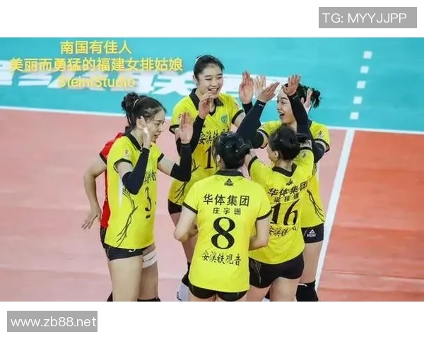 北京排球队团队协作引发热议球迷对战术配合和球员默契提出不同看法